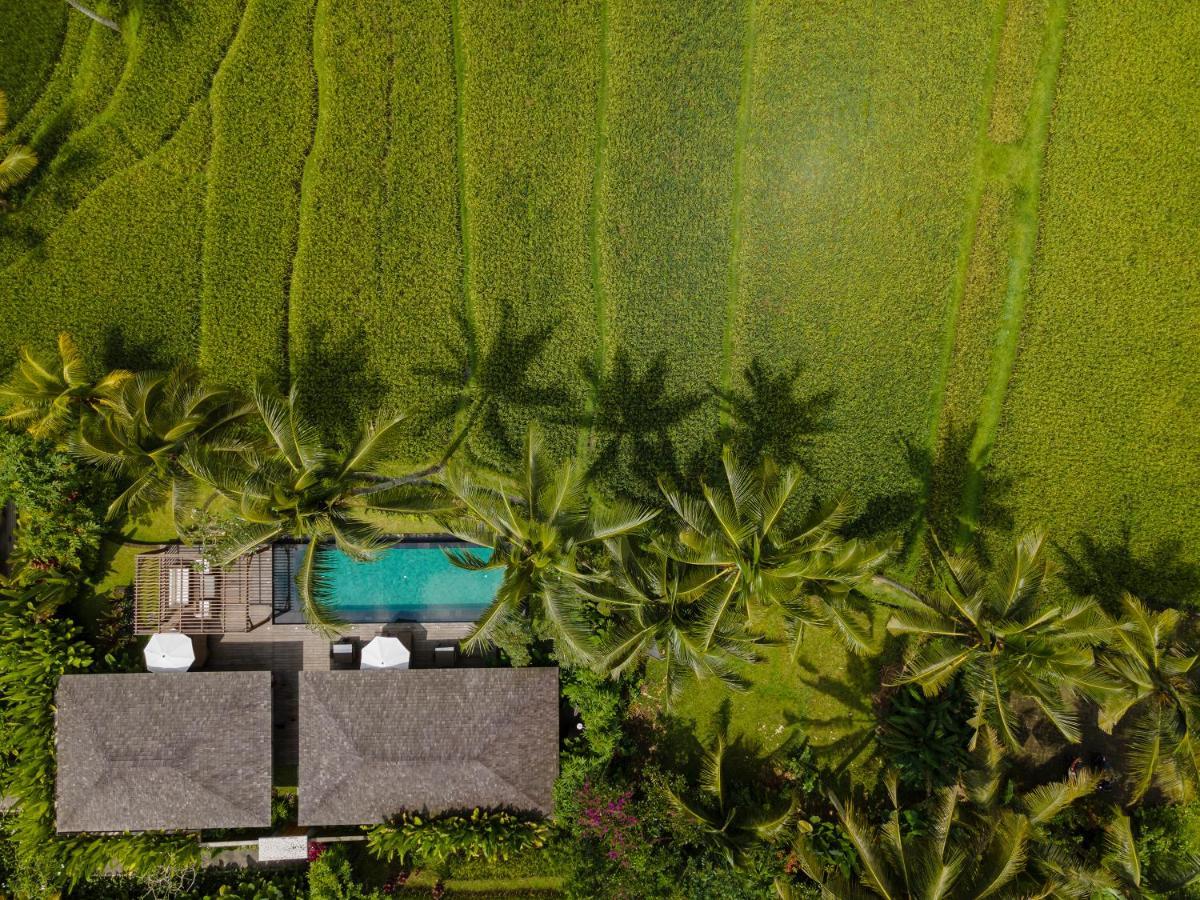 Kappa Senses Ubud ภายนอก รูปภาพ