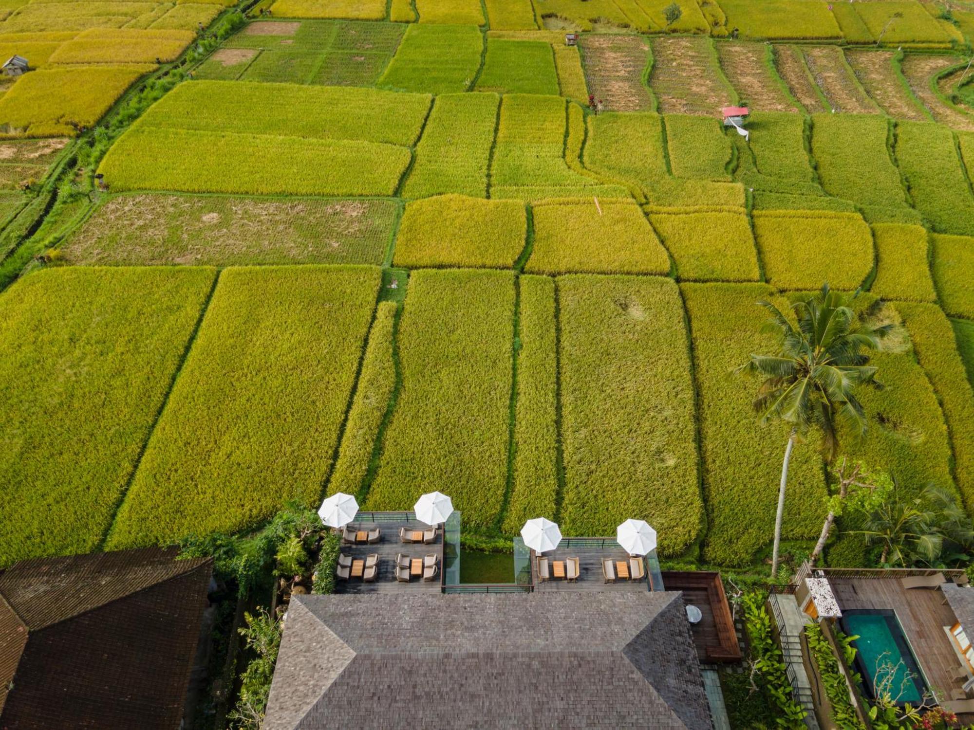 Kappa Senses Ubud ภายนอก รูปภาพ