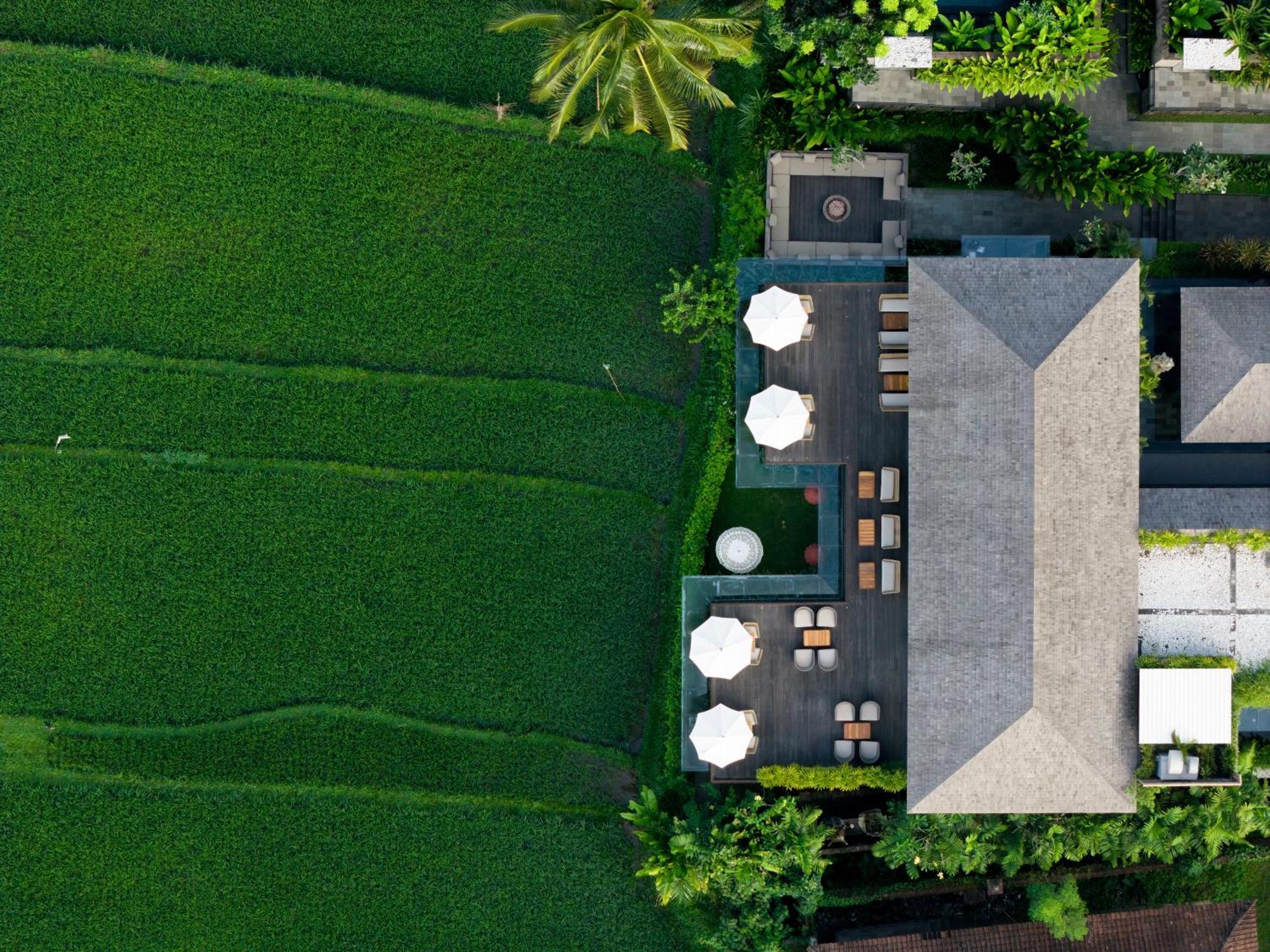Kappa Senses Ubud ภายนอก รูปภาพ