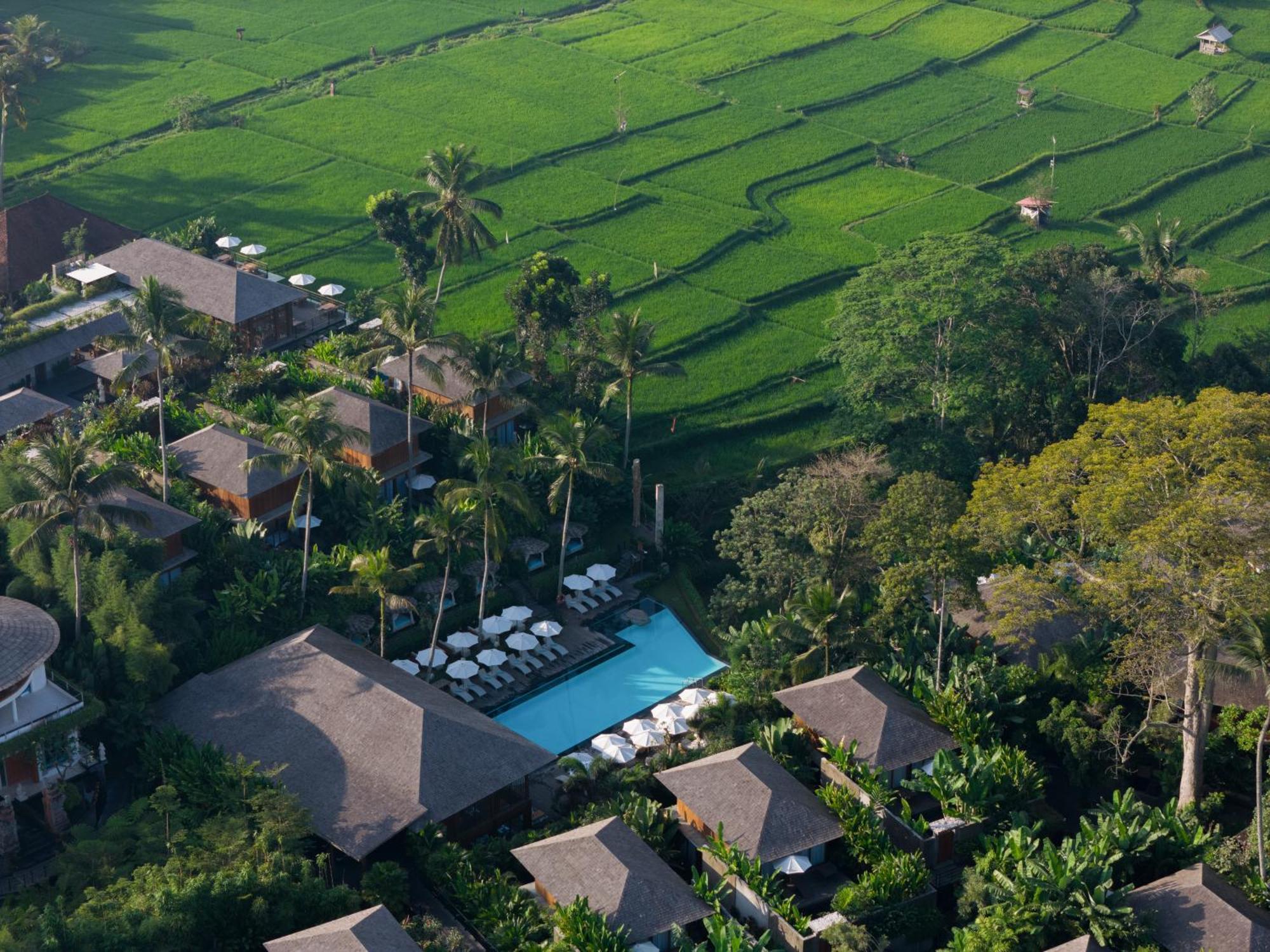Kappa Senses Ubud ภายนอก รูปภาพ