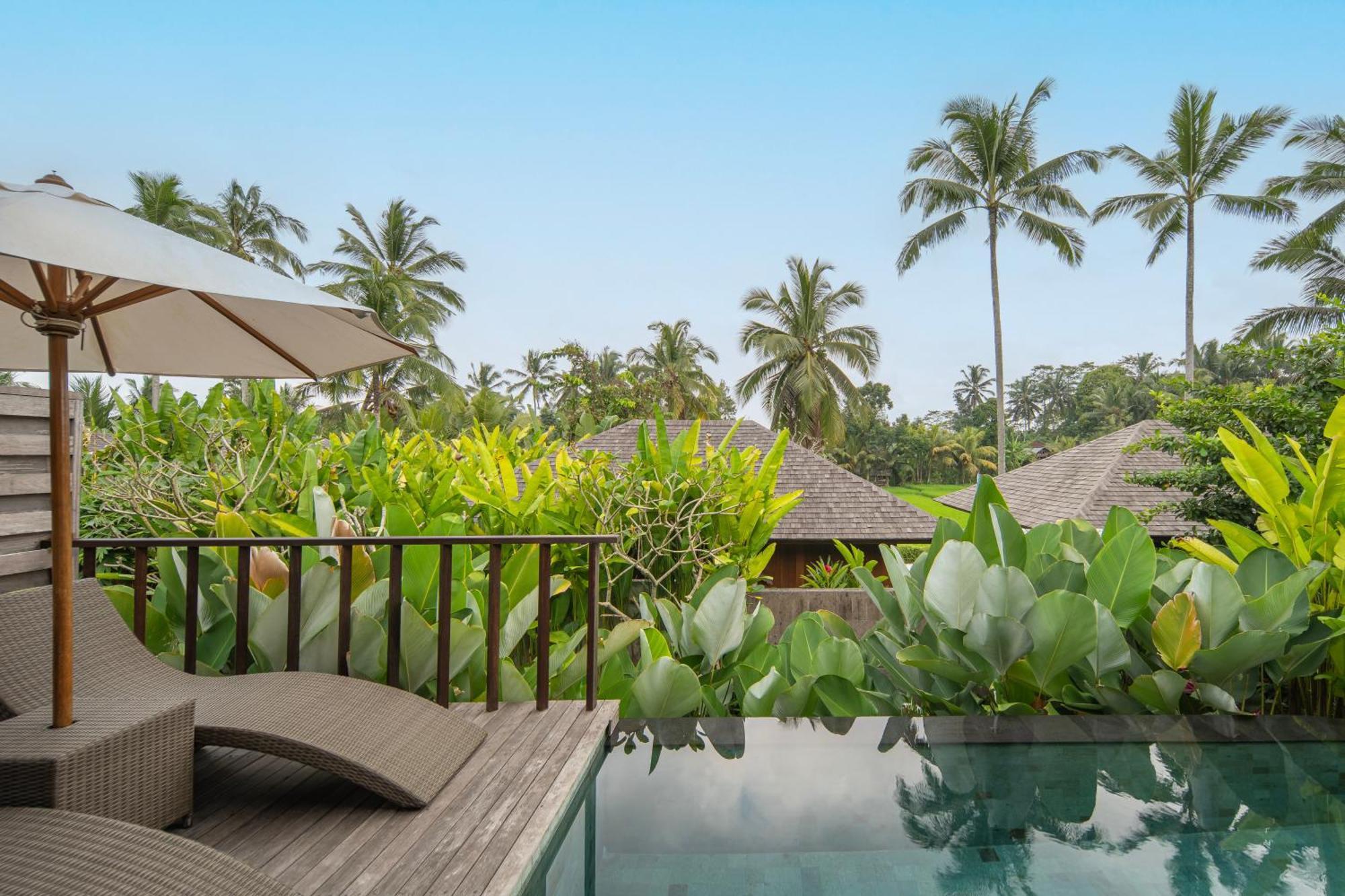 Kappa Senses Ubud ห้อง รูปภาพ