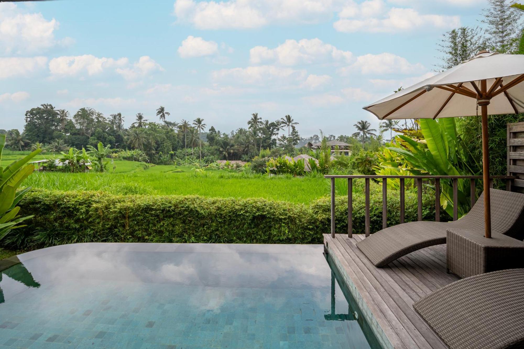 Kappa Senses Ubud ห้อง รูปภาพ